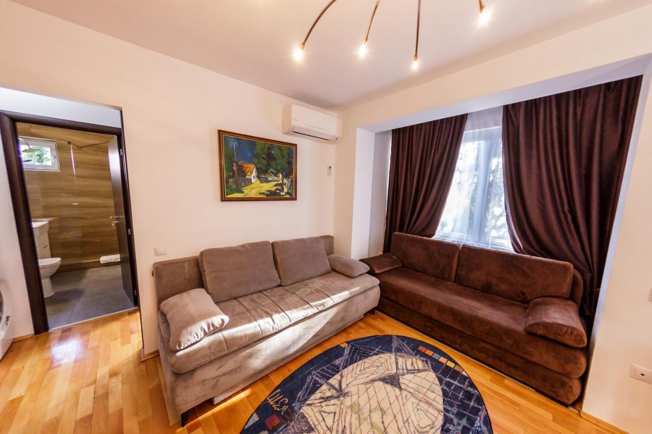 Apartament Family Rivulus 10 Baia Mare Exterior foto
